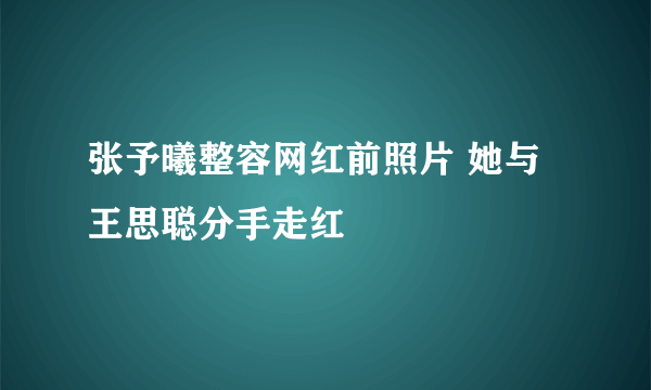 张予曦整容网红前照片 她与王思聪分手走红