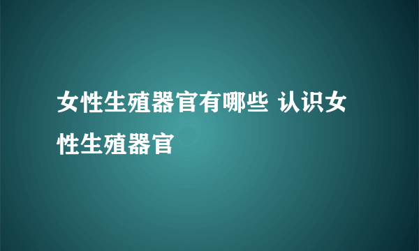 女性生殖器官有哪些 认识女性生殖器官