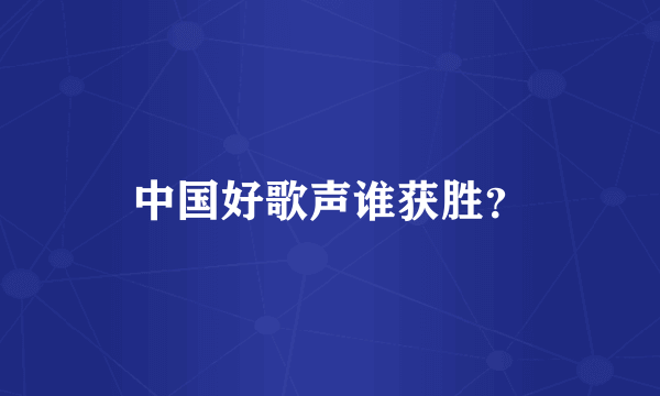 中国好歌声谁获胜？