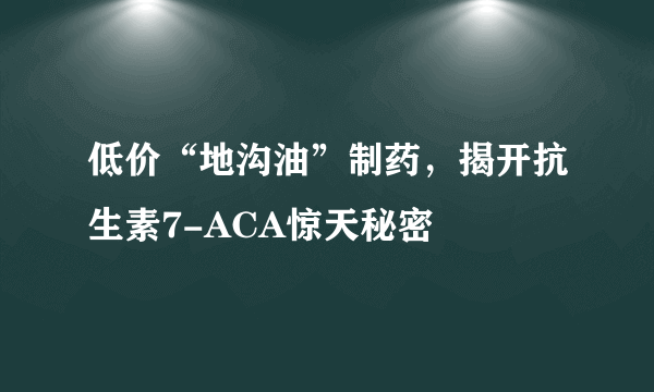 低价“地沟油”制药，揭开抗生素7-ACA惊天秘密