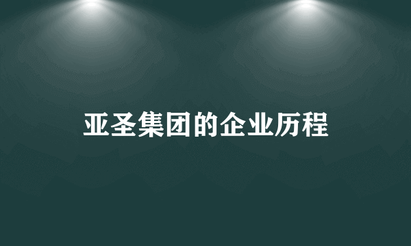 亚圣集团的企业历程