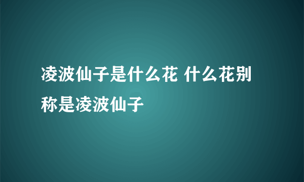 凌波仙子是什么花 什么花别称是凌波仙子