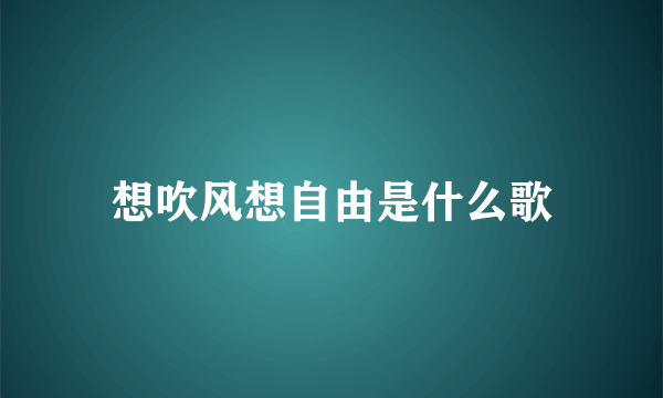 想吹风想自由是什么歌