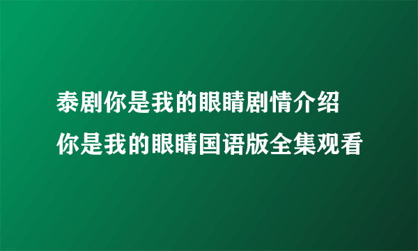 泰剧你是我的眼睛剧情介绍 你是我的眼睛国语版全集观看