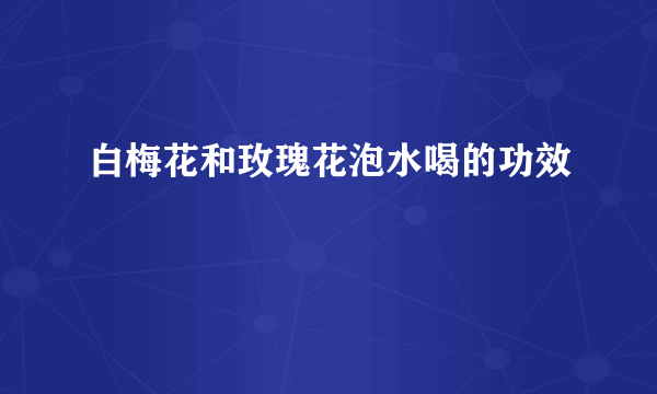 白梅花和玫瑰花泡水喝的功效