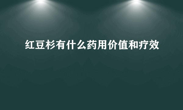 红豆杉有什么药用价值和疗效