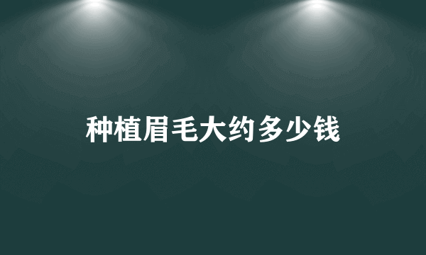 种植眉毛大约多少钱