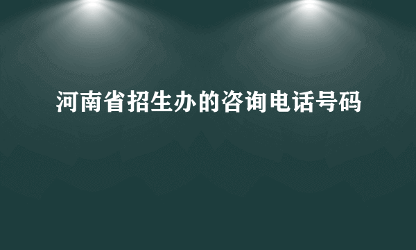 河南省招生办的咨询电话号码