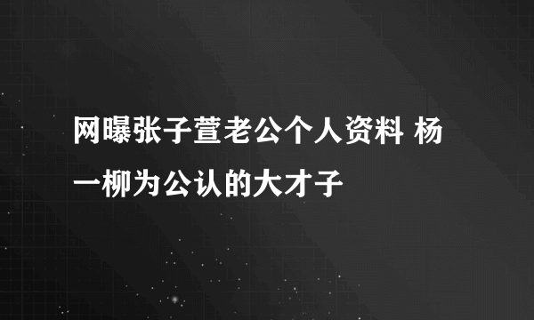 网曝张子萱老公个人资料 杨一柳为公认的大才子