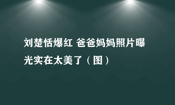 刘楚恬爆红 爸爸妈妈照片曝光实在太美了（图）