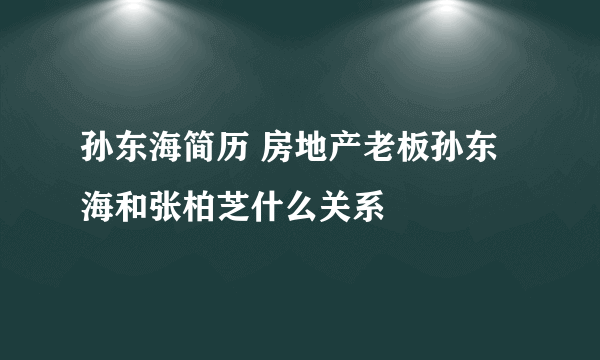 孙东海简历 房地产老板孙东海和张柏芝什么关系