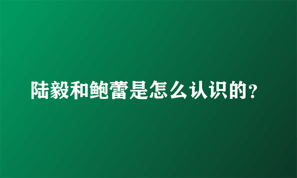 陆毅和鲍蕾是怎么认识的？