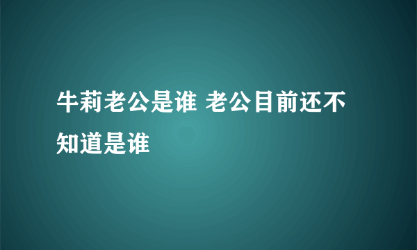 牛莉老公是谁 老公目前还不知道是谁