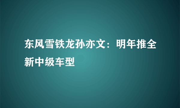 东风雪铁龙孙亦文：明年推全新中级车型