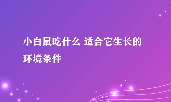 小白鼠吃什么 适合它生长的环境条件