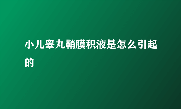 小儿睾丸鞘膜积液是怎么引起的