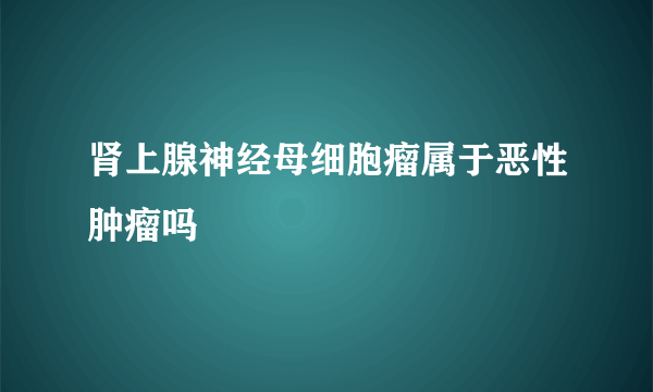 肾上腺神经母细胞瘤属于恶性肿瘤吗