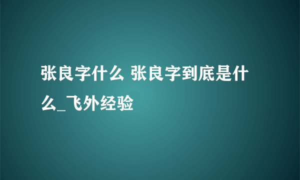 张良字什么 张良字到底是什么_飞外经验