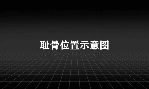 耻骨位置示意图