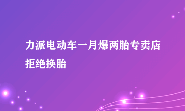 力派电动车一月爆两胎专卖店拒绝换胎