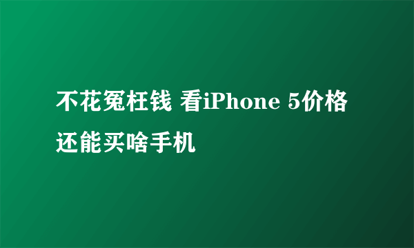 不花冤枉钱 看iPhone 5价格还能买啥手机