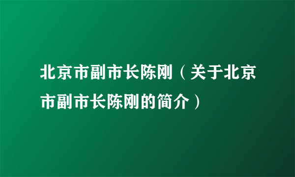 北京市副市长陈刚（关于北京市副市长陈刚的简介）