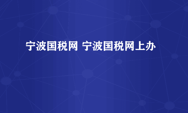 宁波国税网 宁波国税网上办