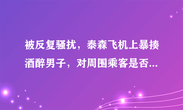 被反复骚扰，泰森飞机上暴揍酒醉男子，对周围乘客是否造成了恐慌？