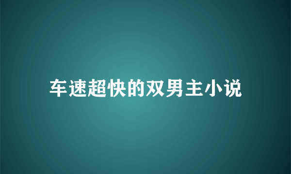 车速超快的双男主小说