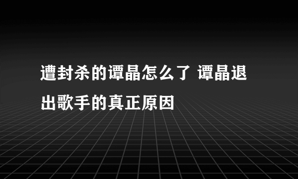 遭封杀的谭晶怎么了 谭晶退出歌手的真正原因