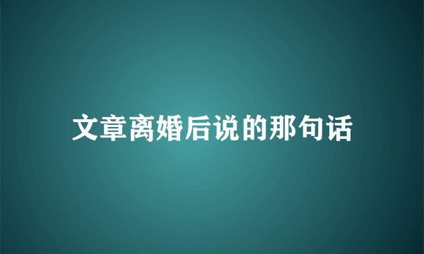 文章离婚后说的那句话