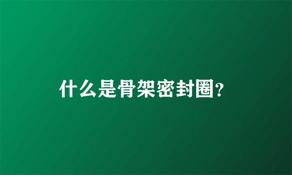 什么是骨架密封圈？