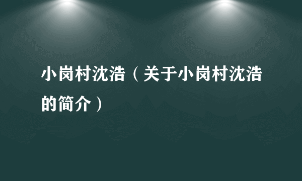 小岗村沈浩（关于小岗村沈浩的简介）