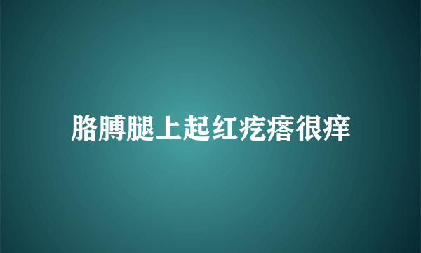 胳膊腿上起红疙瘩很痒