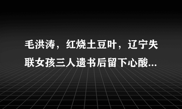 毛洪涛，红烧土豆叶，辽宁失联女孩三人遗书后留下心酸的离世方式