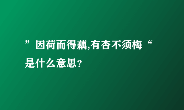 ”因荷而得藕,有杏不须梅“是什么意思？