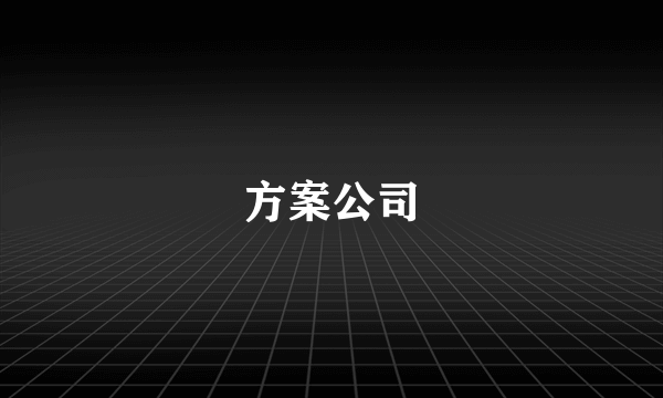 方案公司