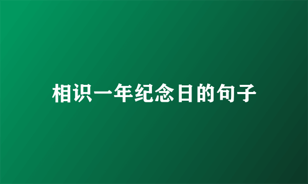 相识一年纪念日的句子