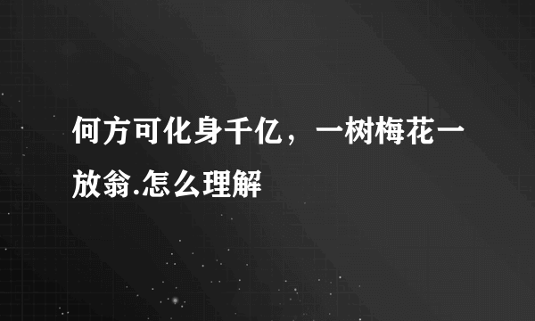 何方可化身千亿，一树梅花一放翁.怎么理解