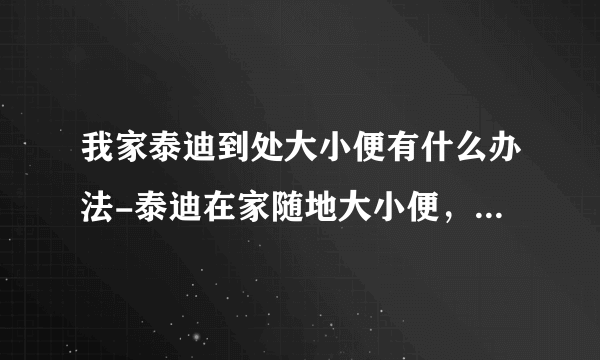 我家泰迪到处大小便有什么办法-泰迪在家随地大小便，怎么办？