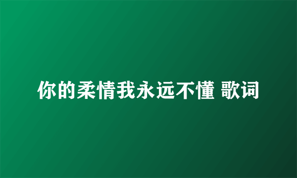 你的柔情我永远不懂 歌词