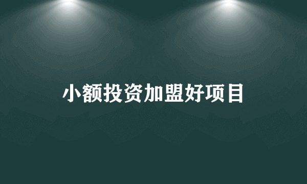 小额投资加盟好项目