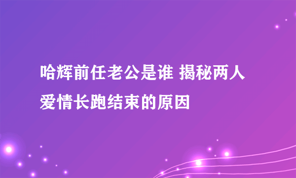 哈辉前任老公是谁 揭秘两人爱情长跑结束的原因