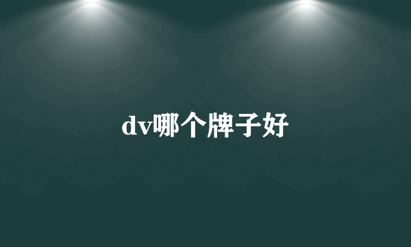 dv哪个牌子好