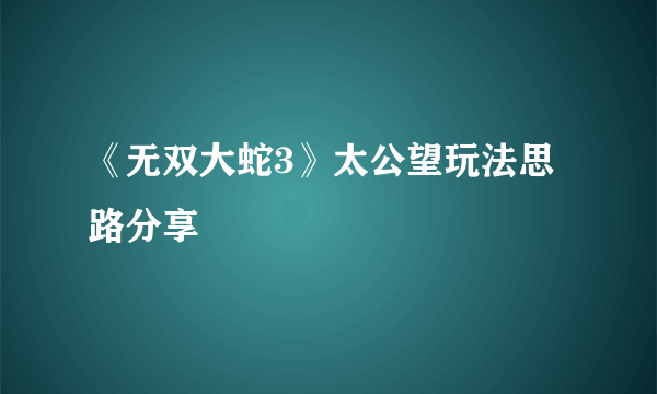 《无双大蛇3》太公望玩法思路分享