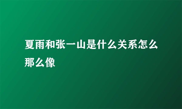 夏雨和张一山是什么关系怎么那么像 