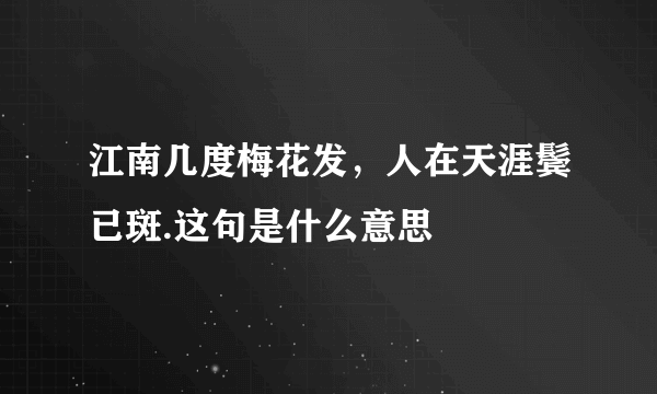 江南几度梅花发，人在天涯鬓已斑.这句是什么意思