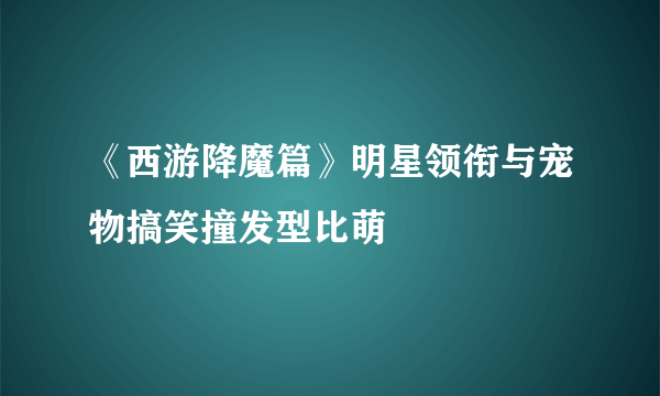 《西游降魔篇》明星领衔与宠物搞笑撞发型比萌