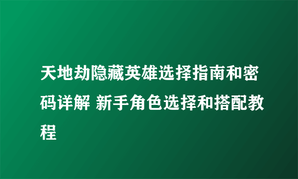 天地劫隐藏英雄选择指南和密码详解 新手角色选择和搭配教程