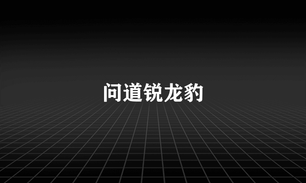 问道锐龙豹